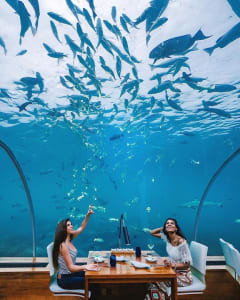 5 Amazing Underwater Restaurants In Maldives That You Ought To Check Out!! 1 underwater restaurant in maldives